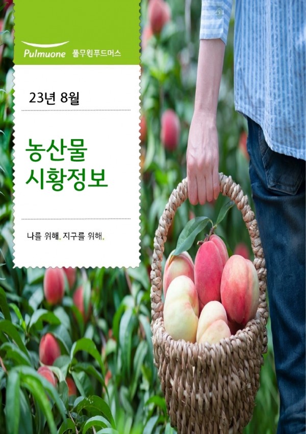 3cd027500a58529a1e7c639d513721f3_1689062